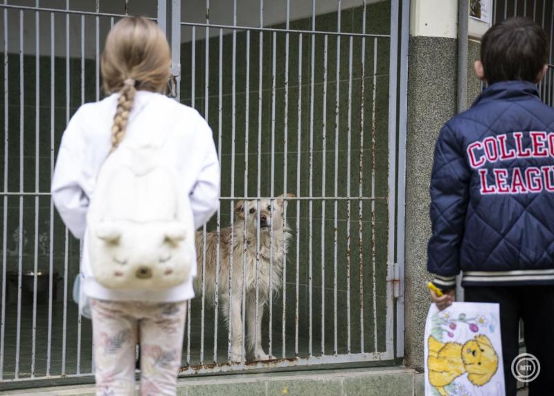 Zsigmond Barna Pál: Az állatvédelem elkötelezett életforma

Zsigmond Barna Pál számára az állatvédelem nem csupán egy eszme, hanem egy életforma, amely mélyen áthatja mindennapjait. Az állatok iránti szeretet és tisztelet nem csupán szavakban, hanem tette