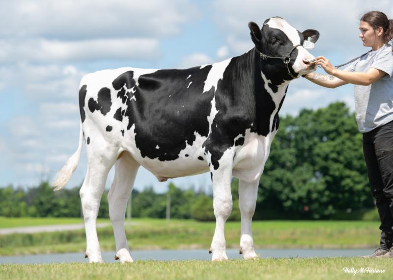 Fedezze fel a jövő genetikai lehetőségeit, és találja meg a mindennapi kihívásokra adható válaszokat! Ismerje meg a Semex őszi ajánlatát, amely innovatív megoldásokat kínál a fejlődő világ számára!