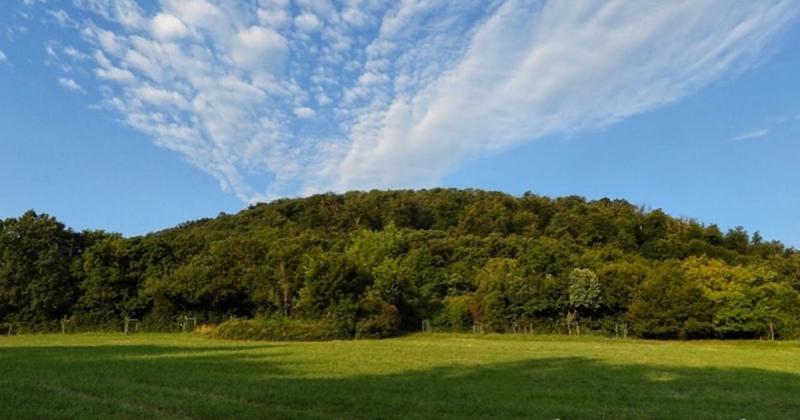 Az erdő nem csupán a vidéki élet sajátossága: egy olyan varázslatos tér, ahol a feltöltődés, a közösségépítés és az oktatás egyaránt megvalósulhat. A természet ölelésében nemcsak a testünket, hanem a lelkünket is táplálhatjuk, miközben új barátságokat köt