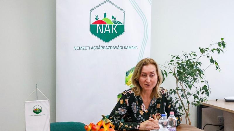 Ha így folytatódik a helyzet, a kalászos gazdák bajban lesznek – nézd meg a videót!