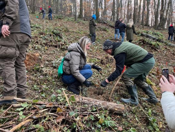 A Tarcal-hegy gyönyörű tájain több mint 13 ezer facsemete kerül elültetésre, ami nemcsak a környezet védelmét szolgálja, hanem a helyi ökoszisztéma gazdagításához is hozzájárul. | Vajdaság MA