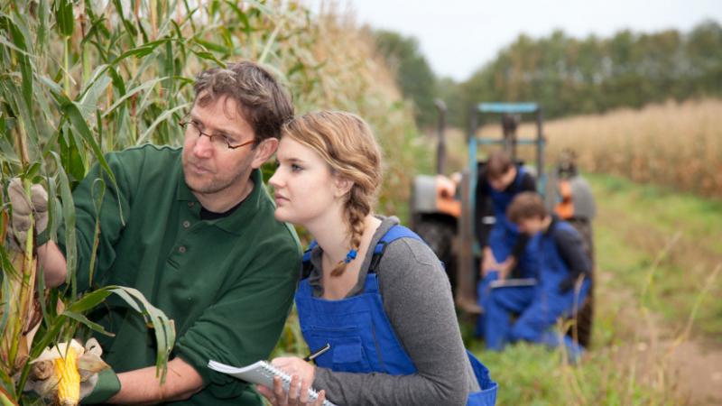 Ez a magyar mezőgazdaság jövője: egyre több vállalkozó és fiatal szakember lép be a szektorba - Agrárszektor