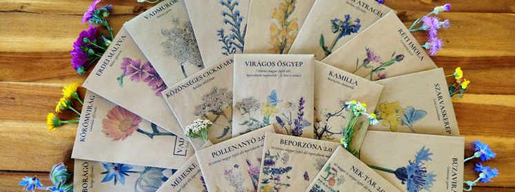 Hogyan alakult át a vegyész vadvirágkirálynővé?