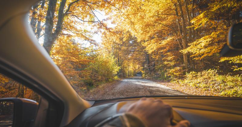 Ha ilyen típusú autód van, igazán kedvező helyzetben vagy: csökkent a kötelező gépjármű-felelősségbiztosítás díja!