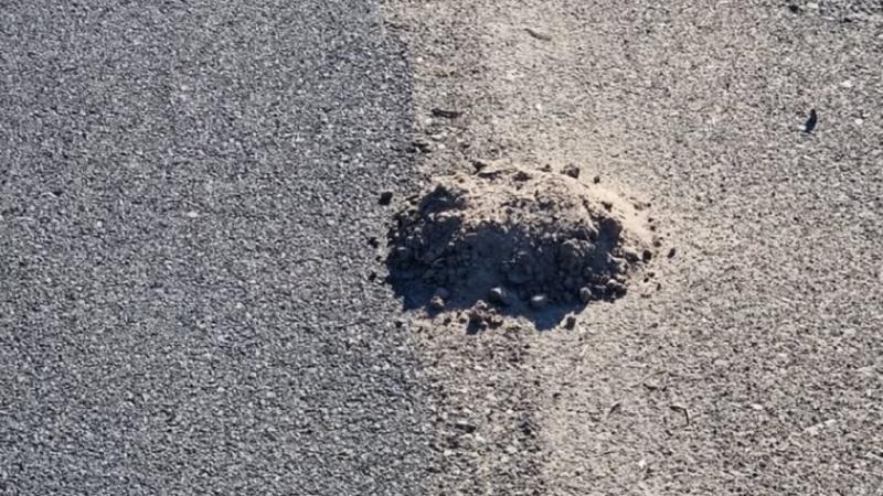 A vakond végre előmerészkedett, miközben a fű buján nőtt a frissen felújított kerékpárúton, ahol Dom kerékpározott.