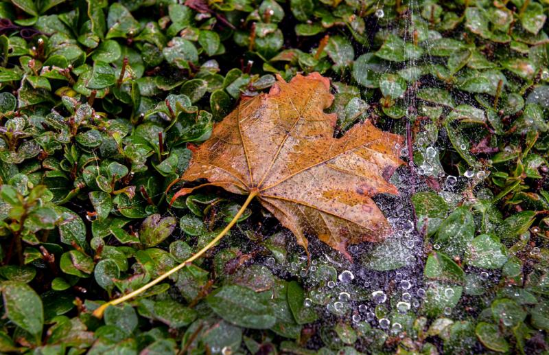 Indulás előtt mindig jó ötlet, ha az esernyőket a táskába pakoljuk.