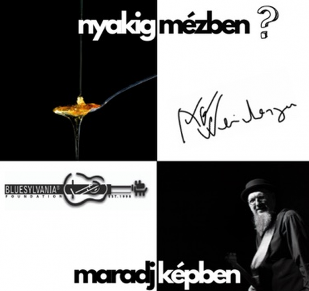 Nyakig mézben – a dallamok sűrűn csordogálnak, mint az aranyló nedv, miközben a szavak táncot járnak a papíron. Írok, mint ahogy a gitár húrjai rezegnek, egy-egy hangjegy szikrázik a levegőben, és minden szó egy új akkordot alkot. A ritmus szívverésként p