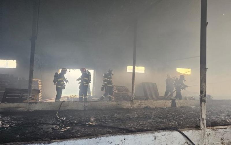 Lángok csaptak fel egy farm területén - Több mint 50 tonna gabona vált hamuvá (VIDEÓ)